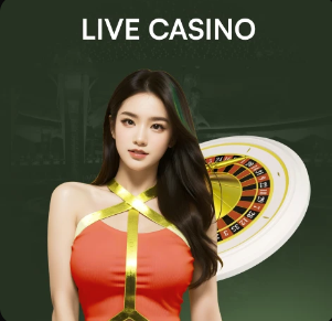 2026年3月28日日足联丸安冈崎vs平田町直播【24直播网】